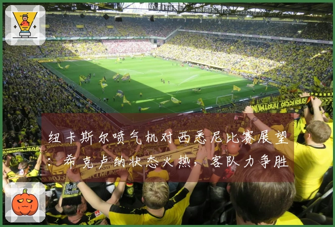 纽卡斯尔喷气机对西悉尼比赛展望：希克卢纳状态火热，客队力争胜利